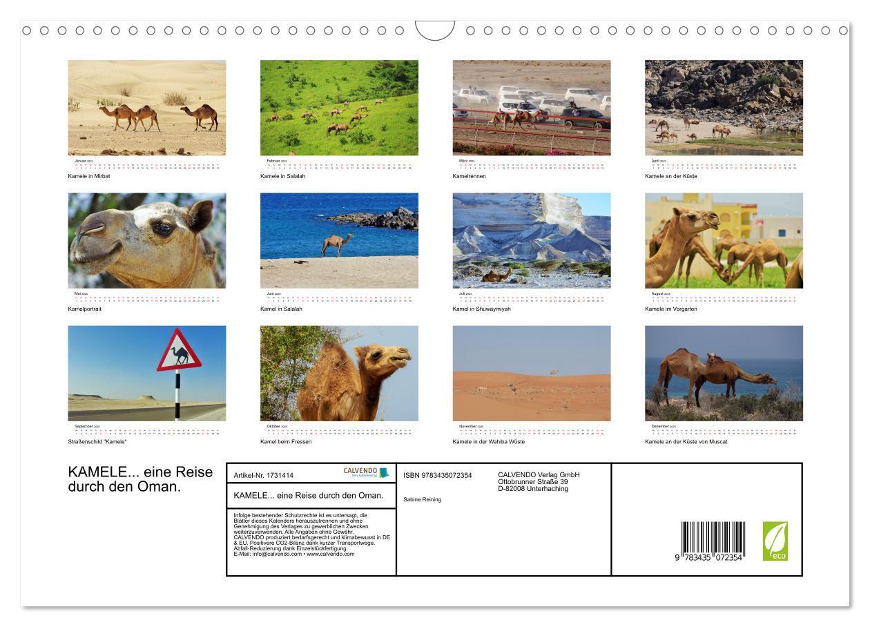 Bild: 9783435072354 | KAMELE... eine Reise durch den Oman. (Wandkalender 2025 DIN A3...