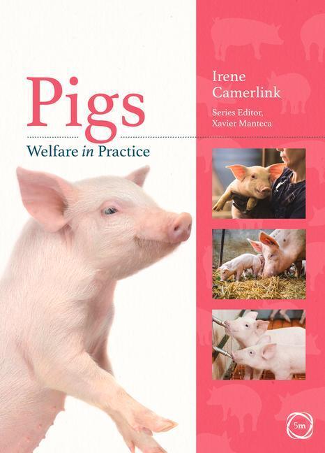 Cover: 9781789181050 | Pigs Welfare in Practice | Irene Camerlink | Taschenbuch | Englisch