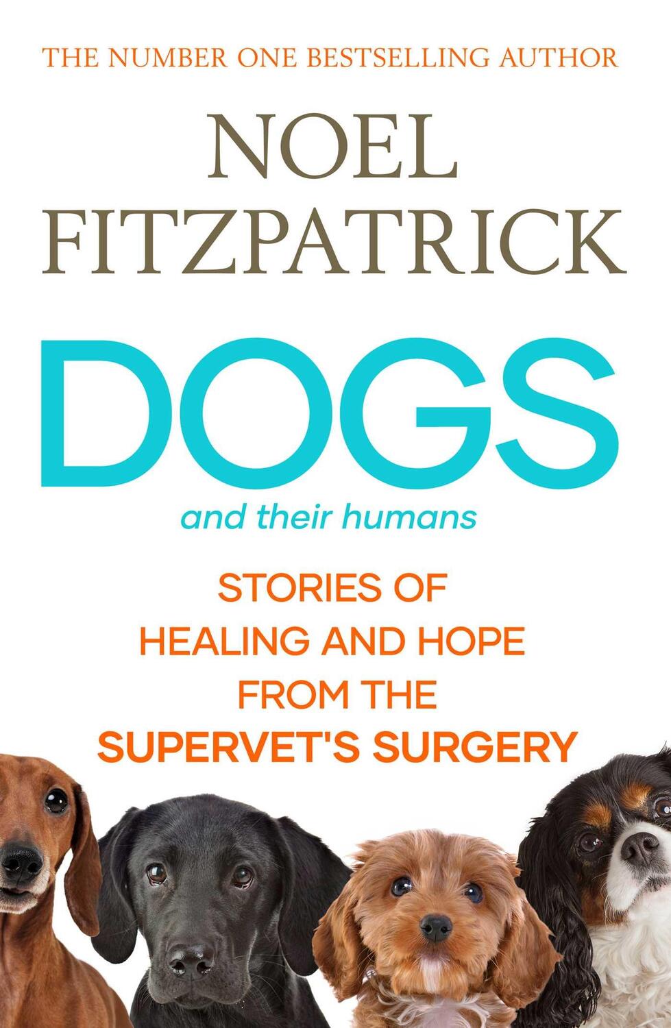 Cover: 9781398539433 | Dogs and Their Humans | Noel Fitzpatrick | Buch | Englisch | 2024