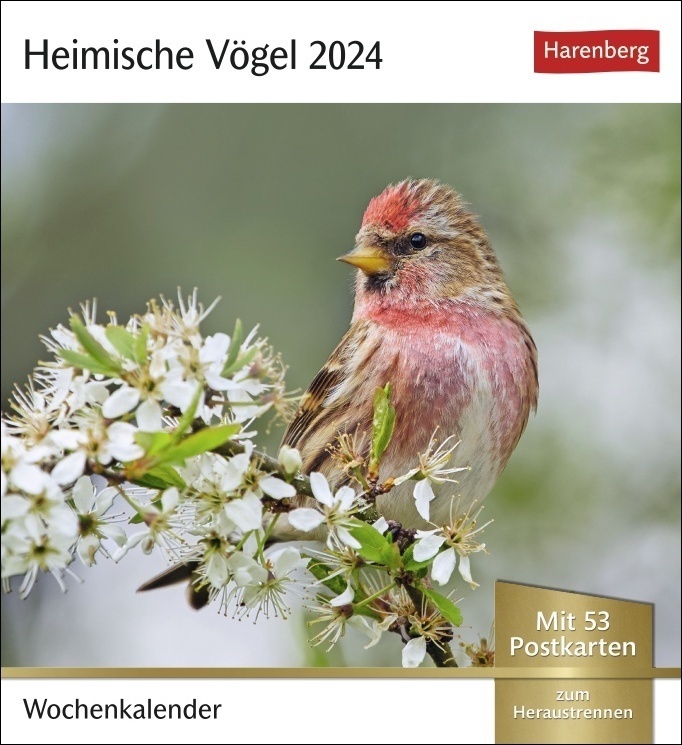 Cover: 9783840031878 | Heimische Vögel Postkartenkalender 2024. Wochenkalender im...