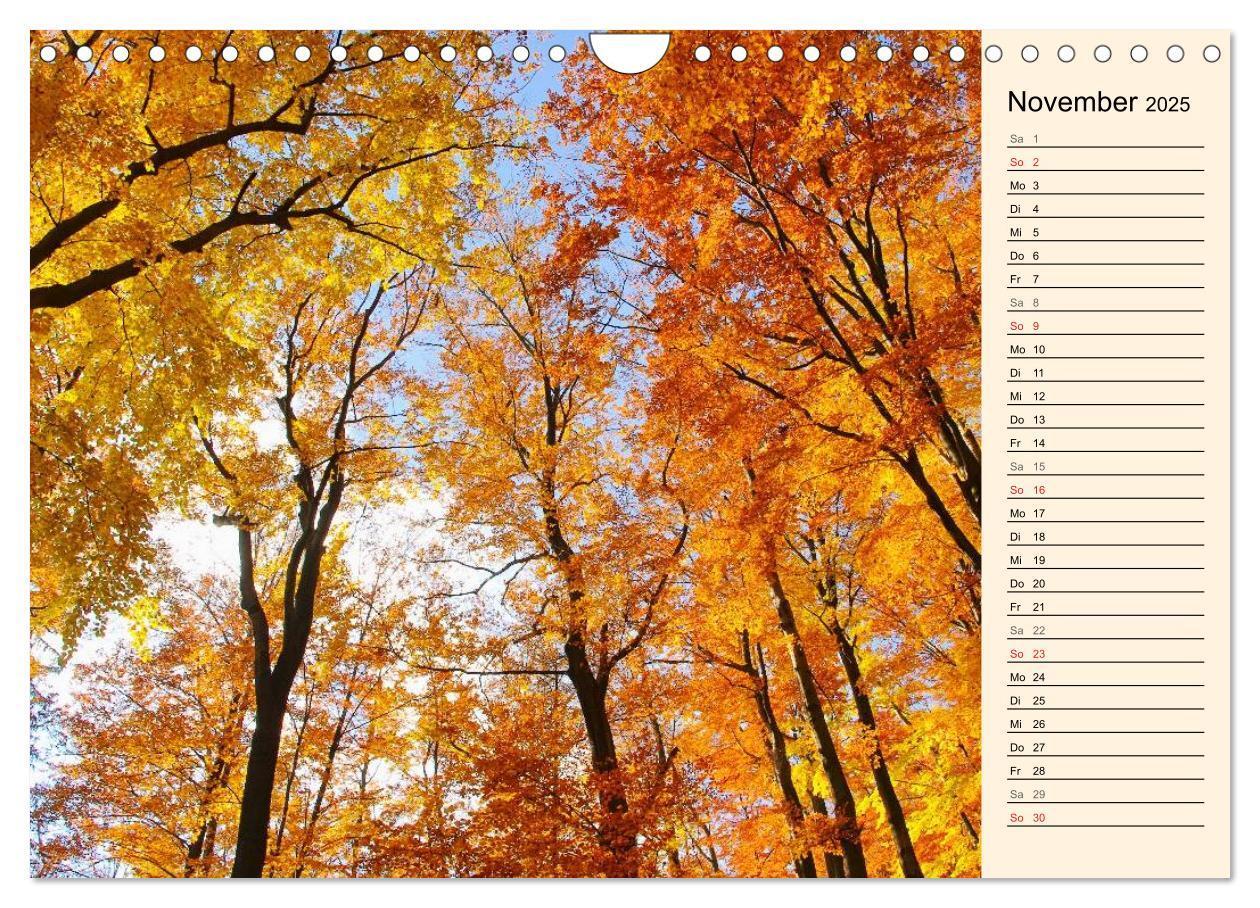 Bild: 9783435507603 | Riesengebirge (Wandkalender 2025 DIN A4 quer), CALVENDO Monatskalender