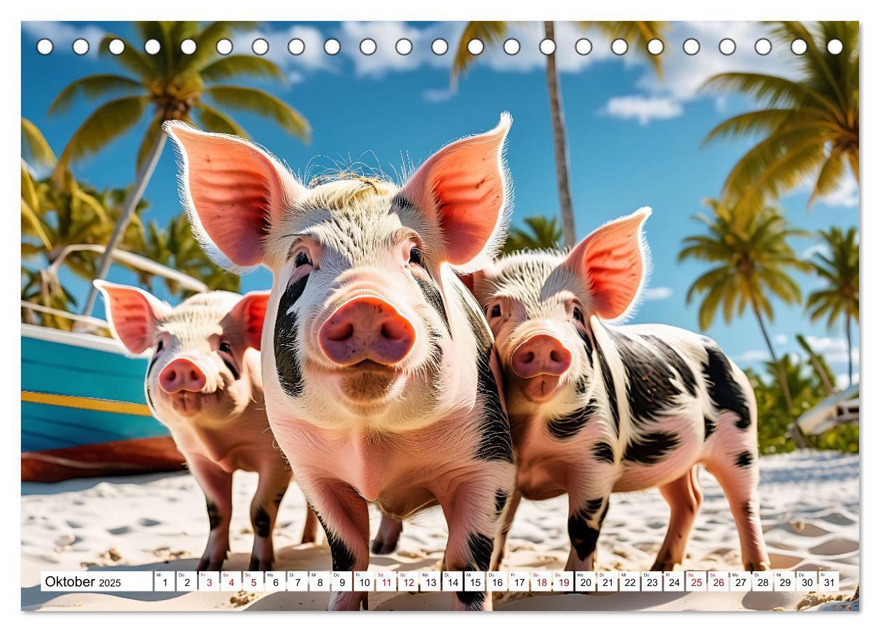 Bild: 9783383835292 | Schwimmende Schweine im Paradies (Tischkalender 2025 DIN A5 quer),...