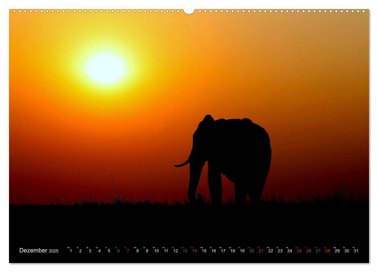 Bild: 9783435477111 | Afrika - im Reich der Elefanten (Wandkalender 2025 DIN A2 quer),...