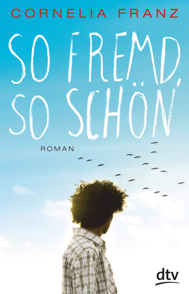 Cover: 9783423740203 | So fremd, so schön | Roman | Cornelia Franz | Taschenbuch | 2016 | DTV