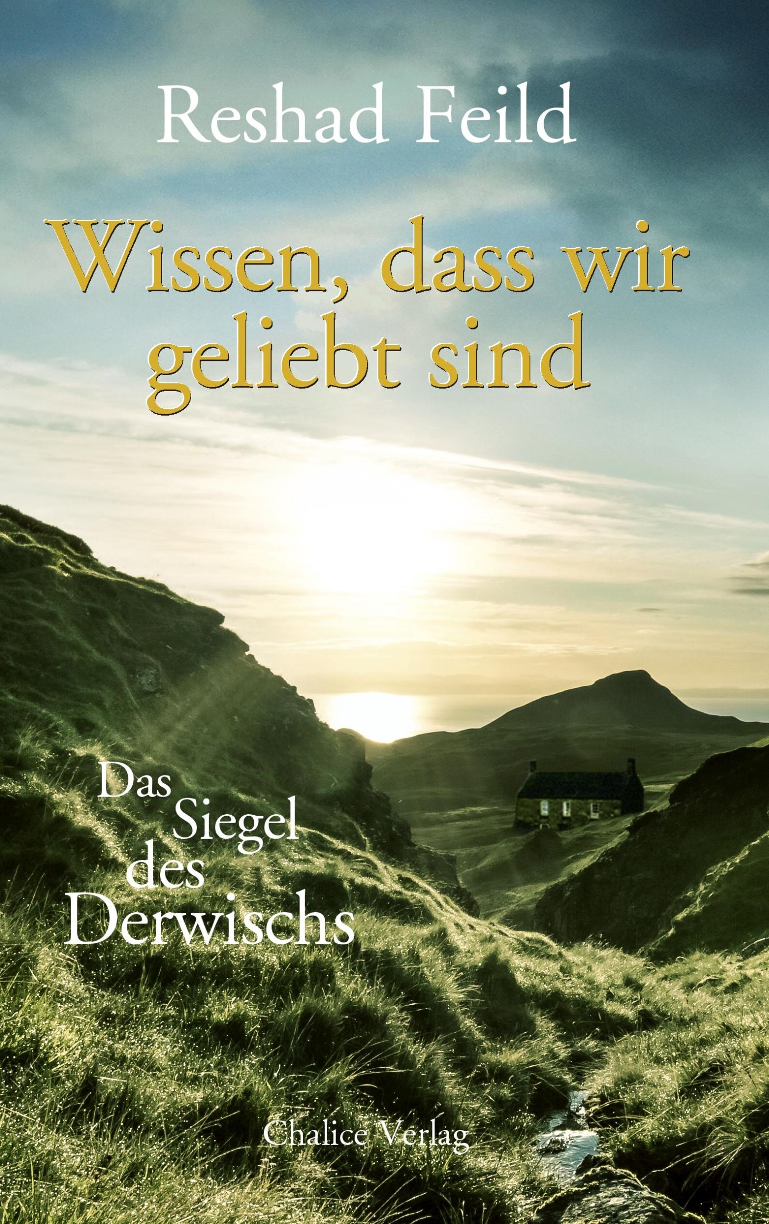 Cover: 9783942914123 | Wissen, dass wir geliebt sind | Das Siegel des Derwischs | Feild