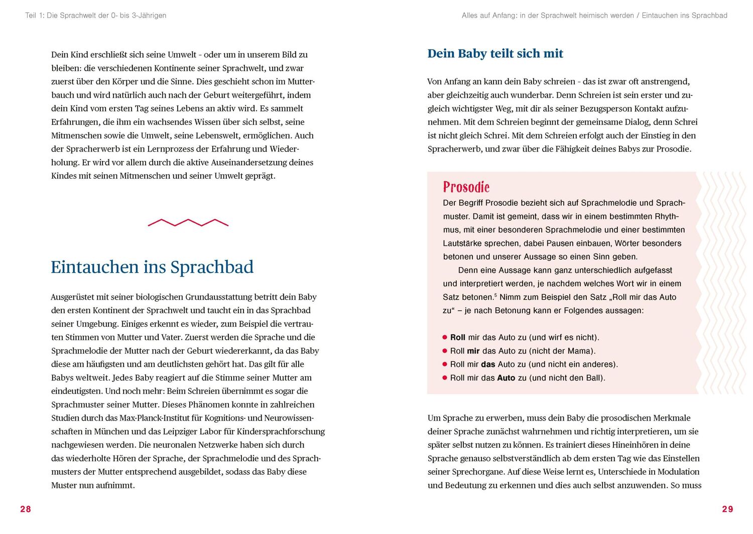 Bild: 9783411756544 | Jetzt lerne ich sprechen | Ursula Günster-Schöning | Taschenbuch