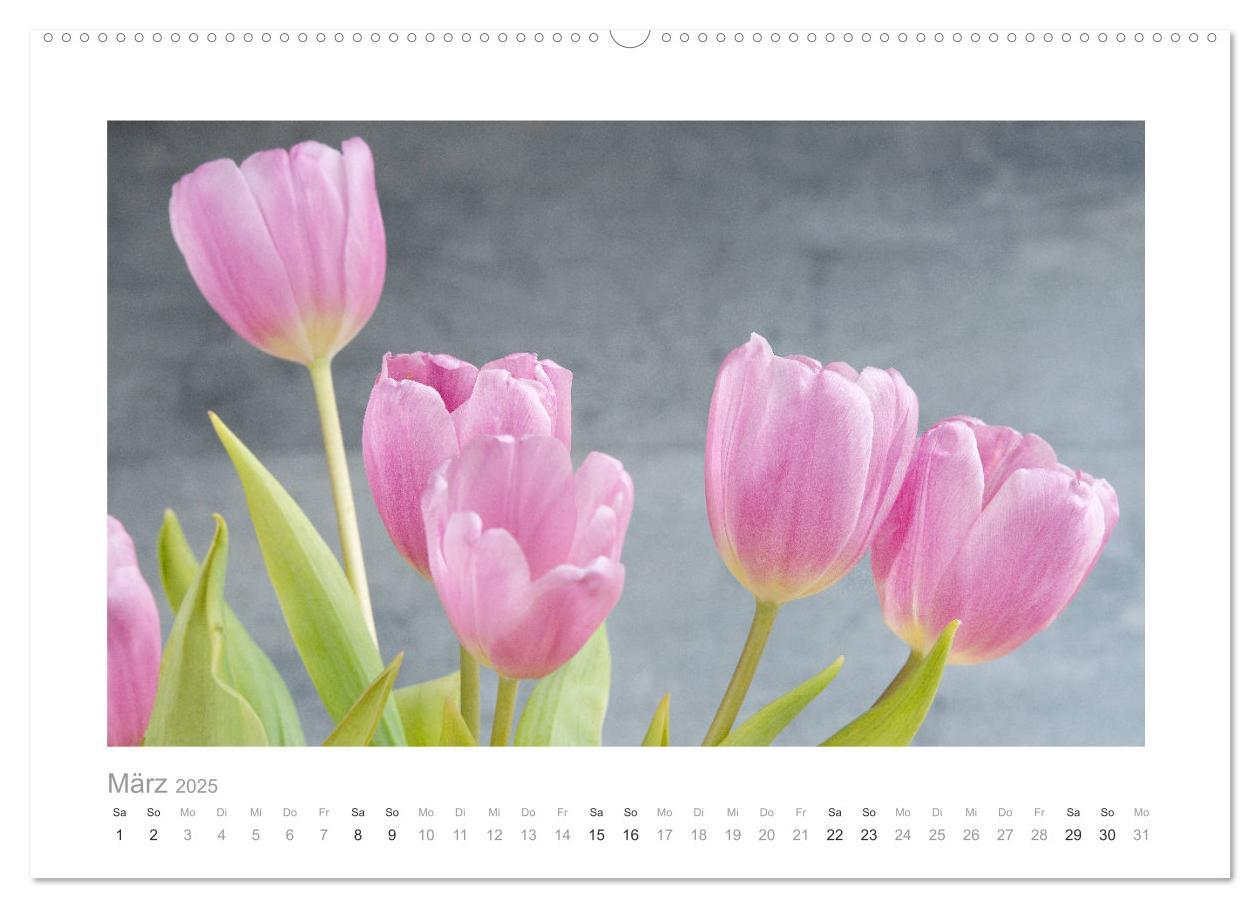 Bild: 9783435458035 | Blumen zart und schön (Wandkalender 2025 DIN A2 quer), CALVENDO...