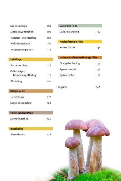 Bild: 9783966645249 | Pilze bestimmen - Der kleine Pilzführer für Einsteiger und...