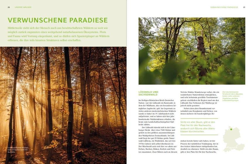 Bild: 9783898092289 | Unsere Wälder | Natur, Kultur und Geschichte | Leege-Topp (u. a.)