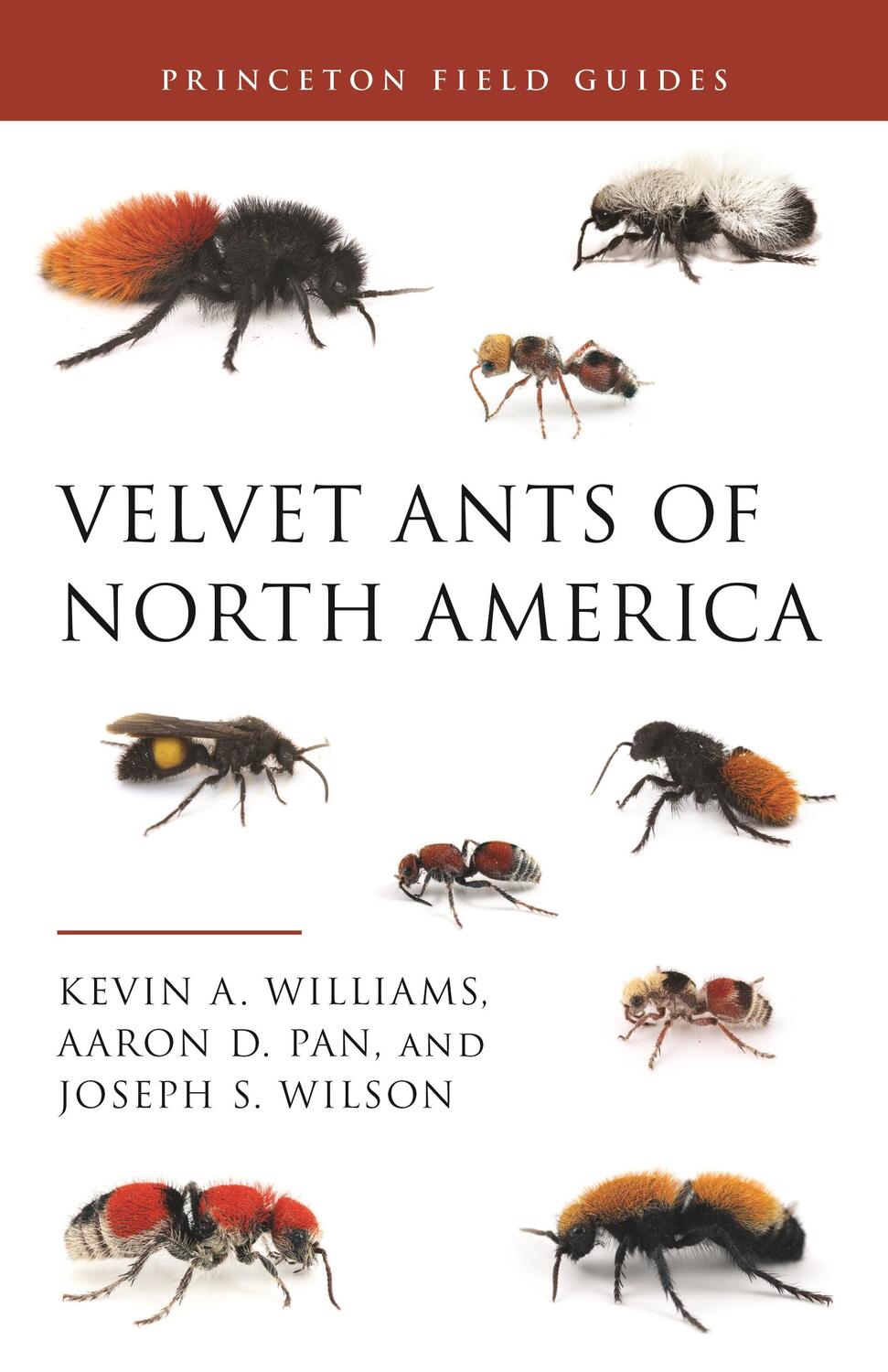 Cover: 9780691212043 | Velvet Ants of North America | Aaron D. Pan (u. a.) | Taschenbuch