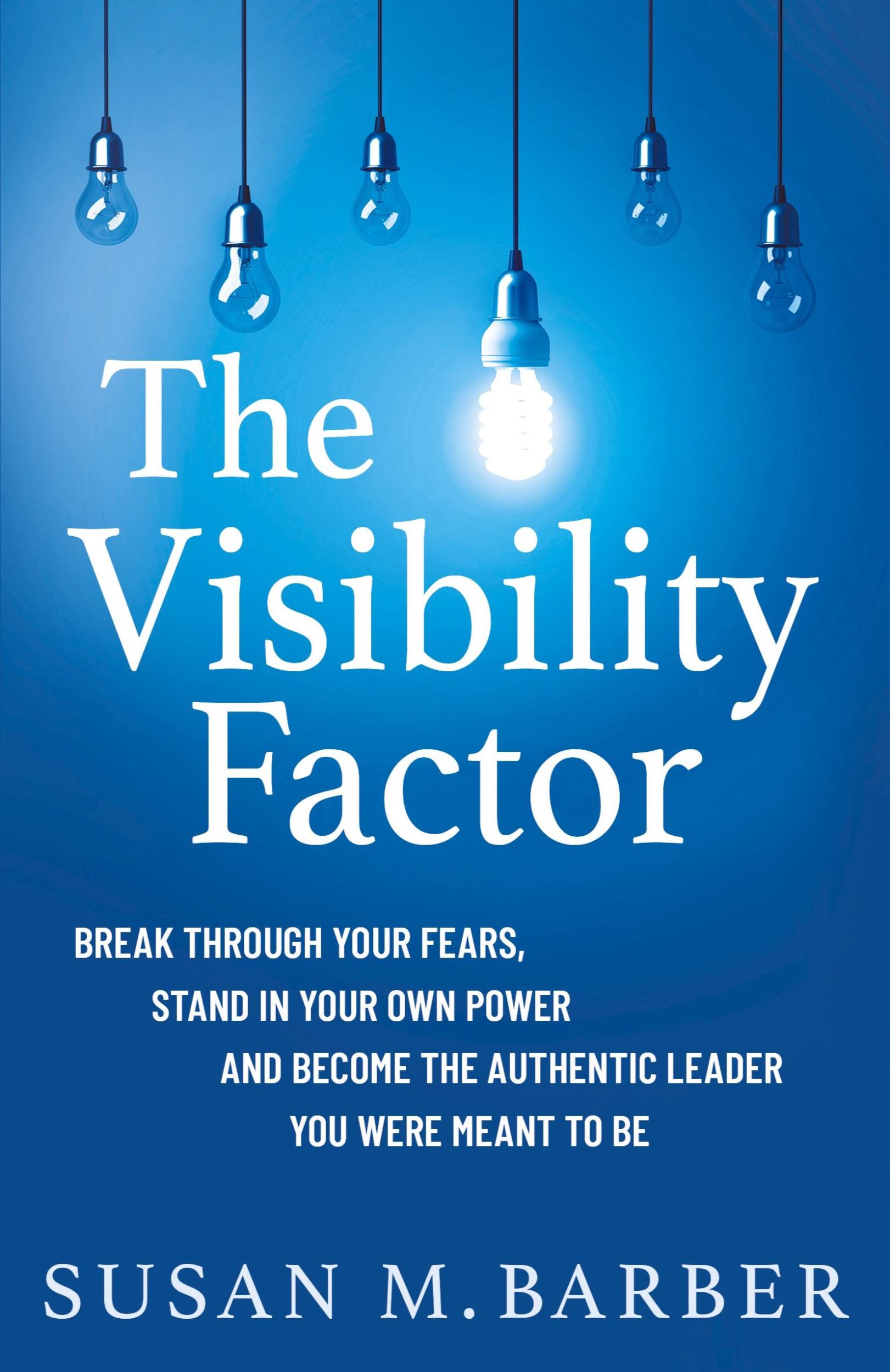 Cover: 9781737610441 | The Visibility Factor | Susan M. Barber | Taschenbuch | Englisch