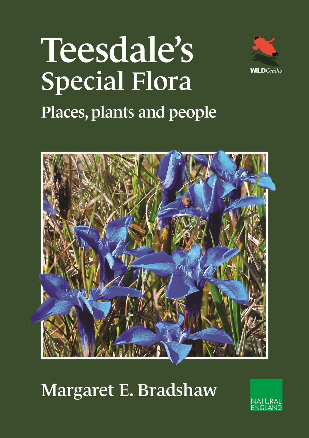 Cover: 9780691251332 | Teesdale's Special Flora | Places, Plants and People | Bradshaw | Buch