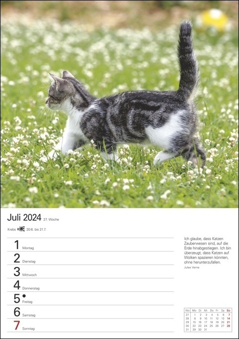 Bild: 9783840031632 | Katzen Wochenplaner. Wandkalender 2024 mit Platz für Notizen und...
