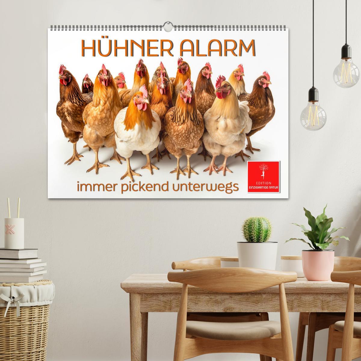 Bild: 9783383768033 | Hühner Alarm (Wandkalender 2025 DIN A2 quer), CALVENDO Monatskalender