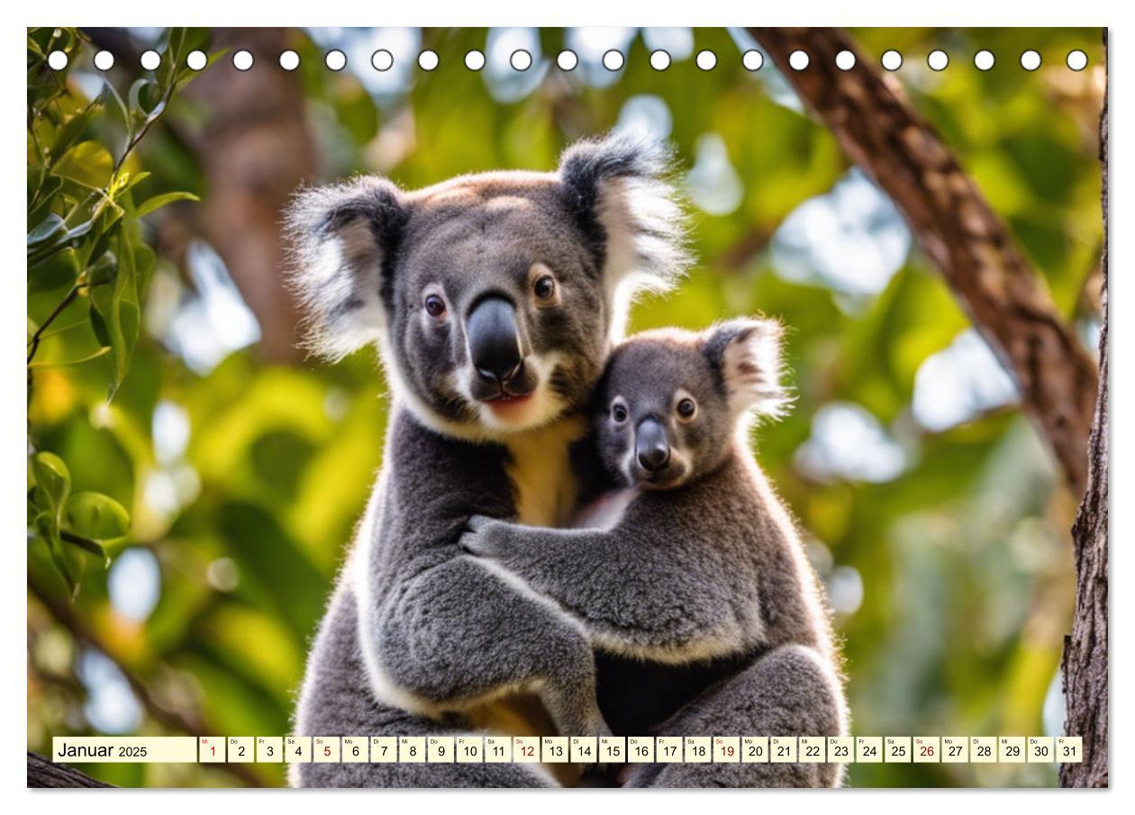 Bild: 9783435719402 | Australiens faszinierende Fauna (Tischkalender 2025 DIN A5 quer),...