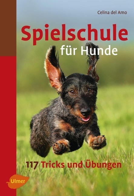 Cover: 9783800167470 | Spielschule für Hunde | Celina DelAmo | Taschenbuch | Deutsch | 2011