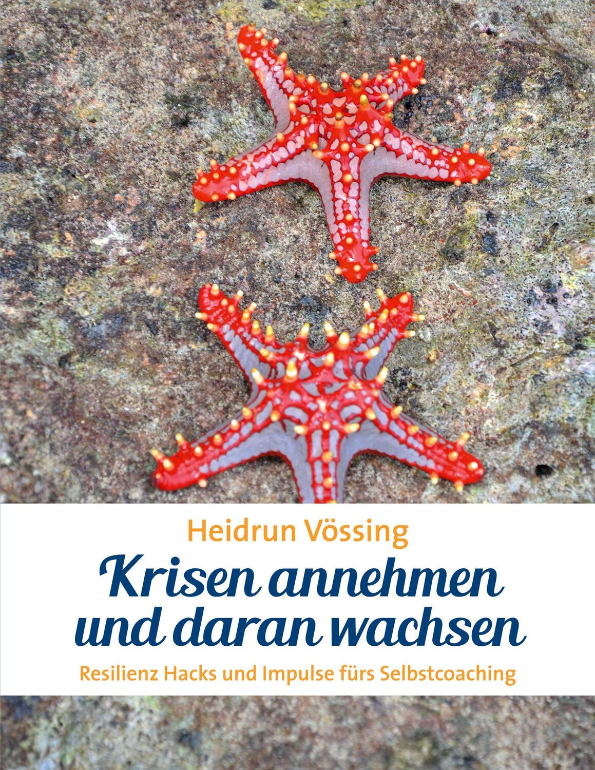 Cover: 9783751944335 | Krisen annehmen und daran wachsen | Heidrun Vössing | Taschenbuch