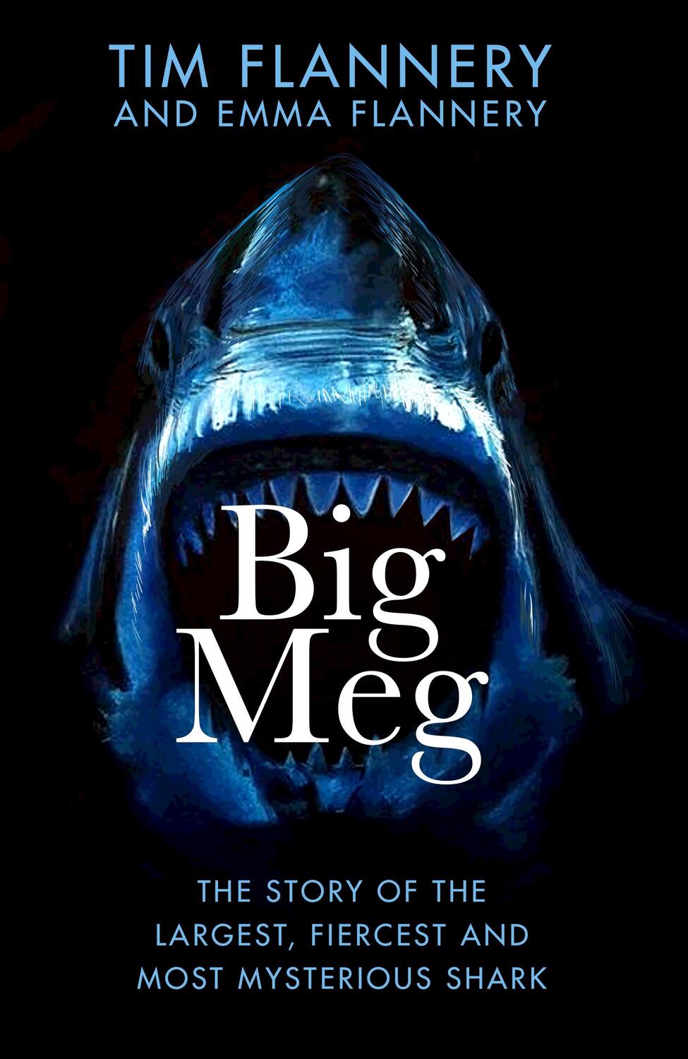 Cover: 9780857529534 | Big Meg | The Story of the Largest, Fiercest and Most Mysterious Shark