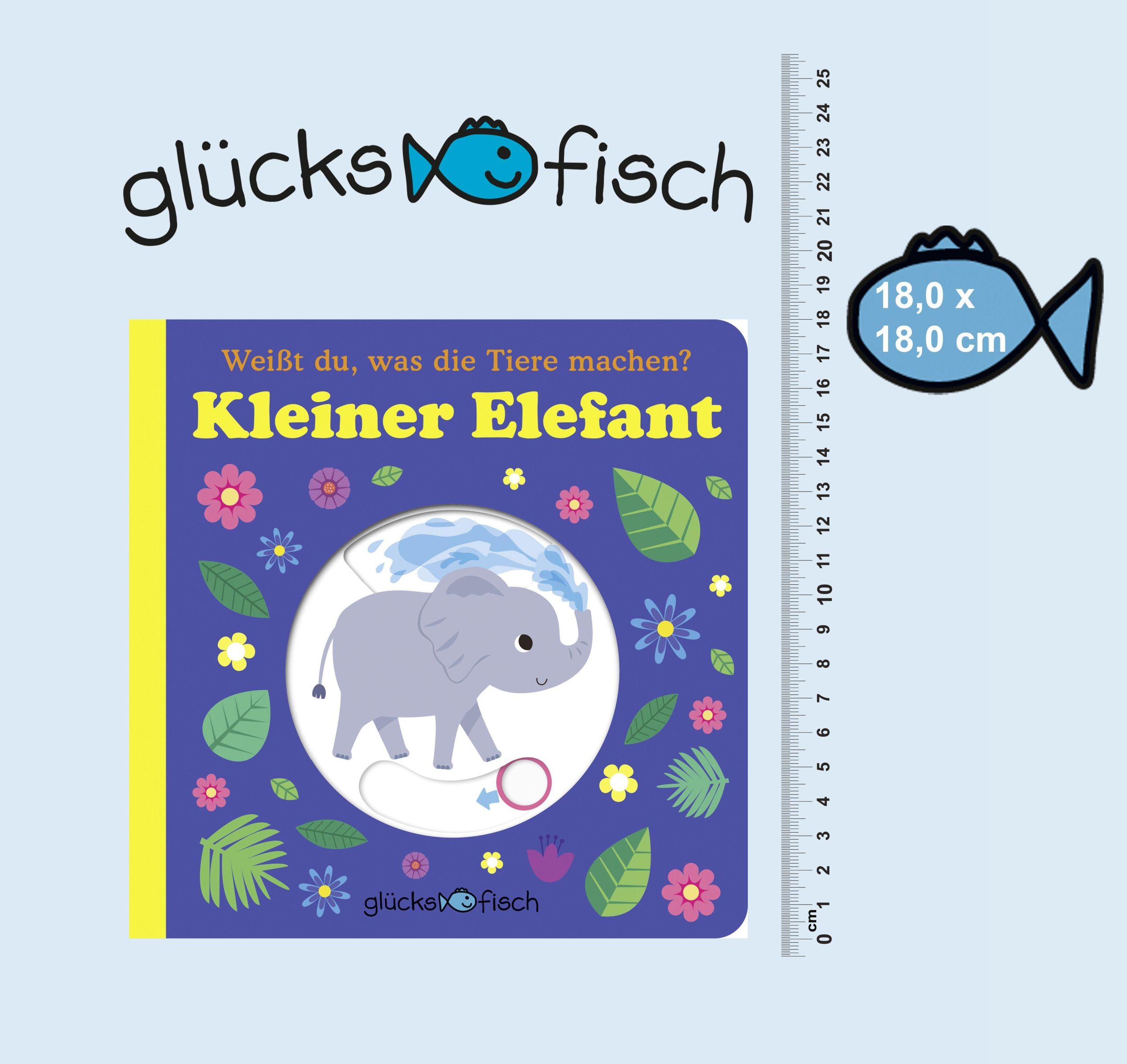 Bild: 9783737359412 | Glücksfisch: Weißt du, was die Tiere machen? Kleiner Elefant...