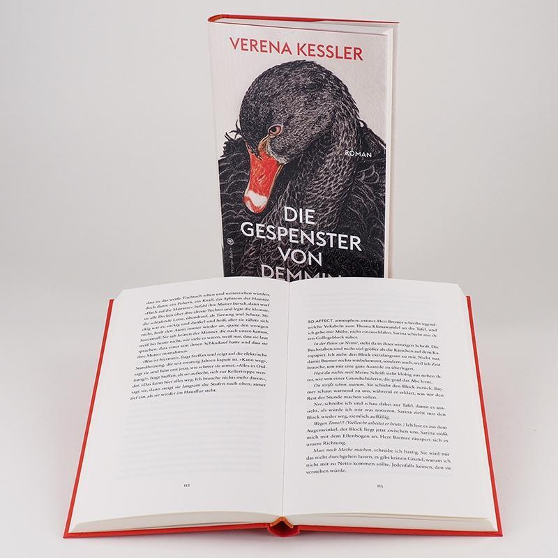 Bild: 9783446267848 | Die Gespenster von Demmin | Verena Keßler | Buch | Deutsch | 2020