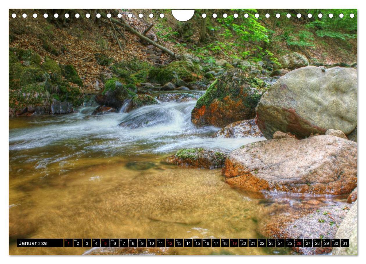 Bild: 9783435582365 | Verzauberter Harz (Wandkalender 2025 DIN A4 quer), CALVENDO...