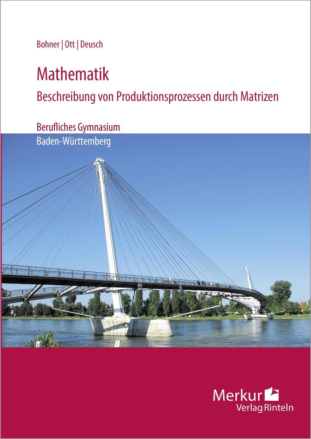 Cover: 9783812006774 | Mathematik-Beschreibung von Produktionsprozessen durch Matrizen | Buch