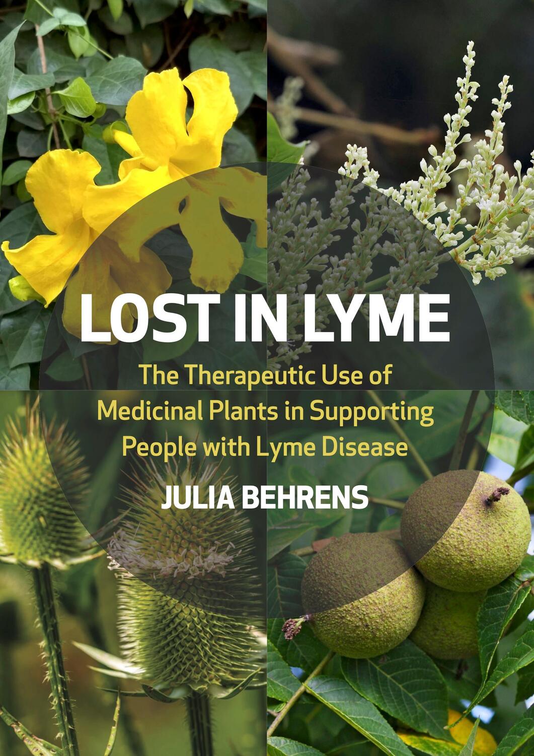 Cover: 9781801520126 | Lost in Lyme | Julia Behrens | Taschenbuch | Kartoniert / Broschiert