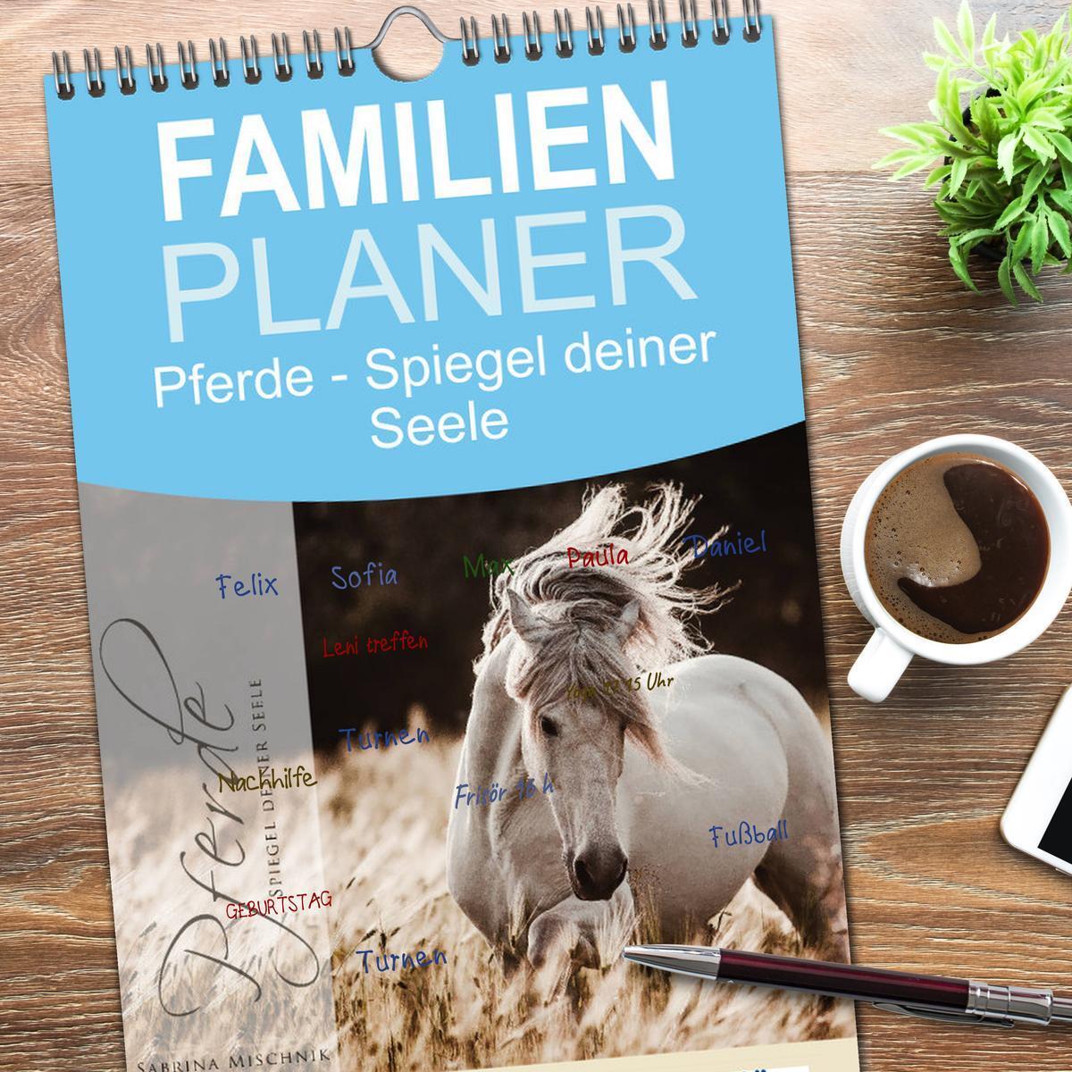 Bild: 9783457123119 | Familienplaner 2025 - Spiegel deiner Seele mit 5 Spalten...