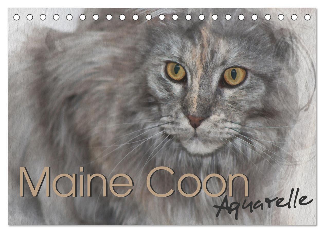 Cover: 9783435023615 | Maine Coon Aquarelle (Tischkalender 2025 DIN A5 quer), CALVENDO...