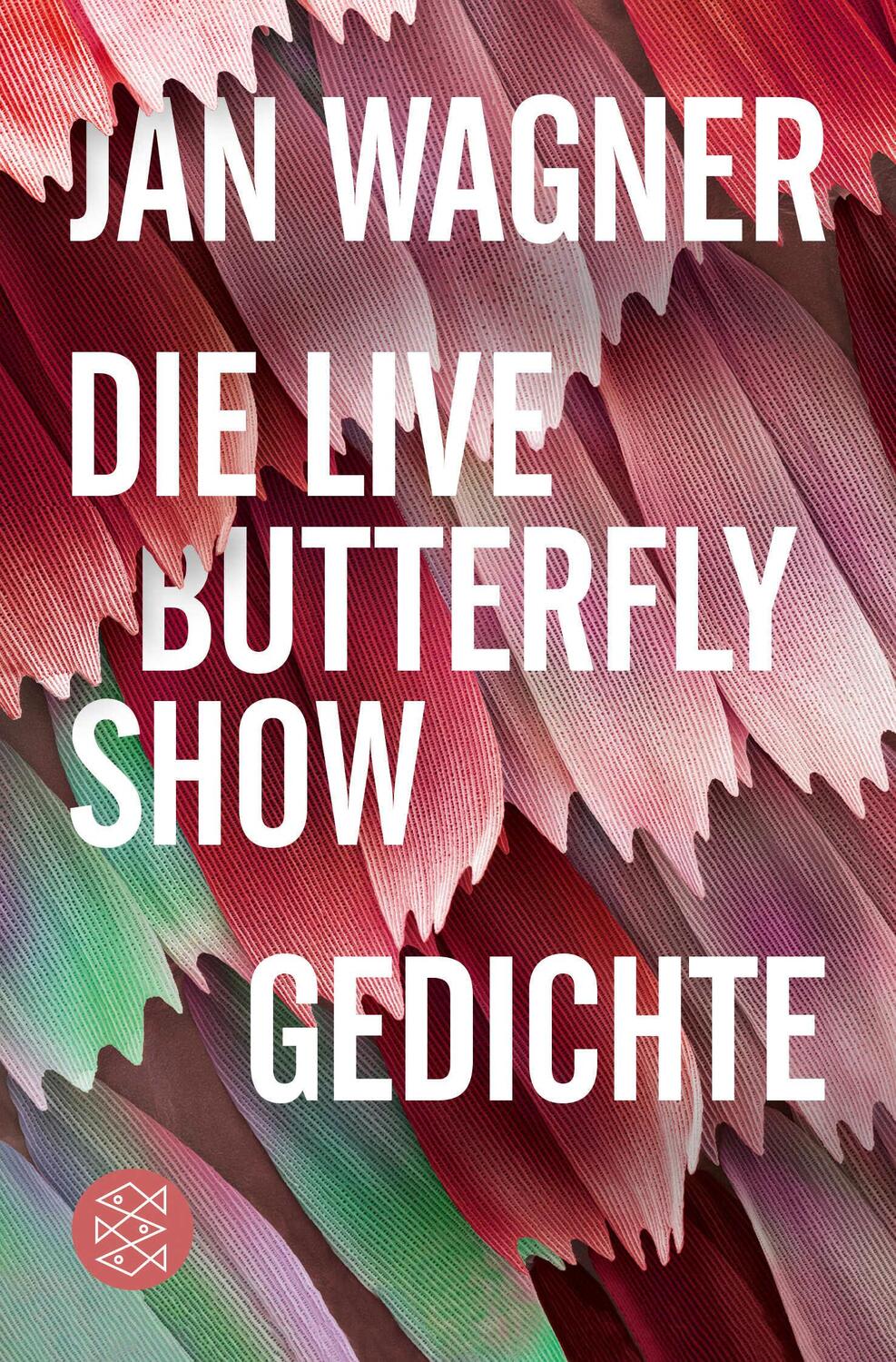 Cover: 9783596704422 | Die Live Butterfly Show | Gedichte | Jan Wagner | Taschenbuch | 96 S.