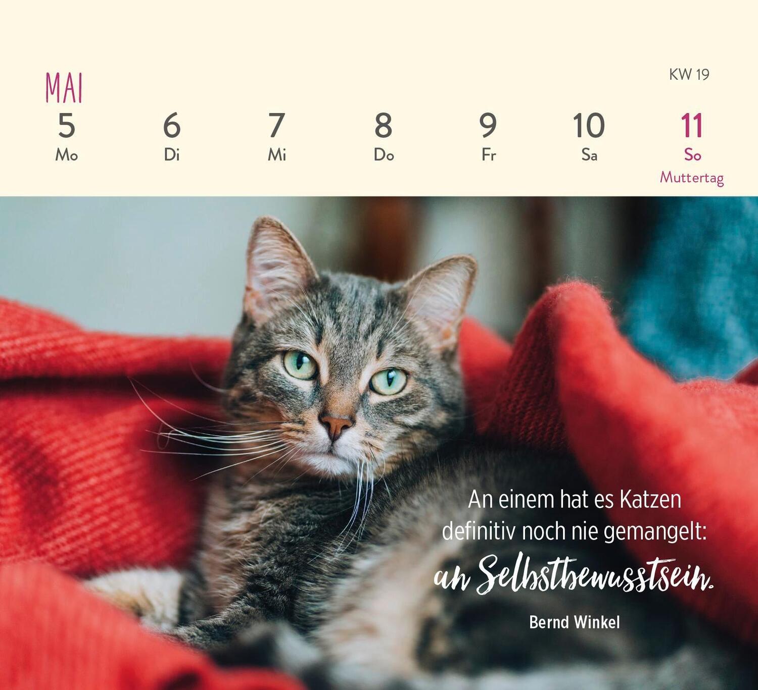 Bild: 4036442011935 | Mini-Wochenkalender 2025: Für Katzenfreunde | Groh Verlag | Kalender