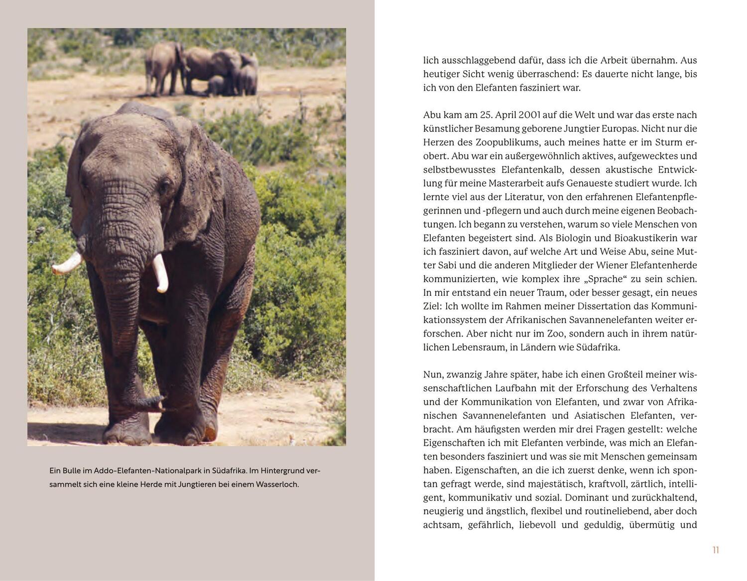 Bild: 9783710607318 | Elefanten | Ihre Weisheit, ihre Sprache und ihr soziales Miteinander