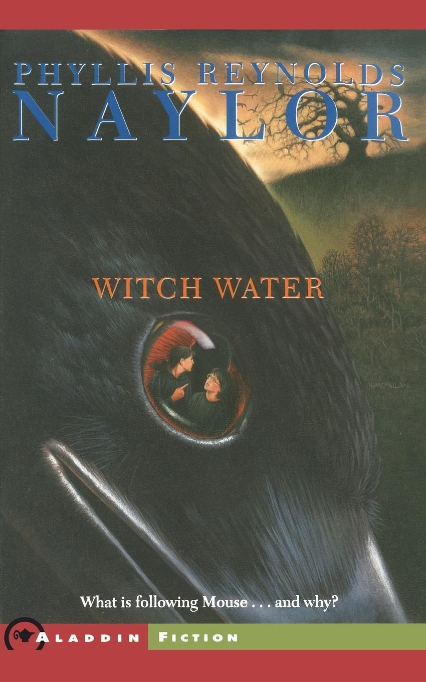 Cover: 9780689853166 | Witch Water | Phyllis Reynolds Naylor | Taschenbuch | Paperback | 2002