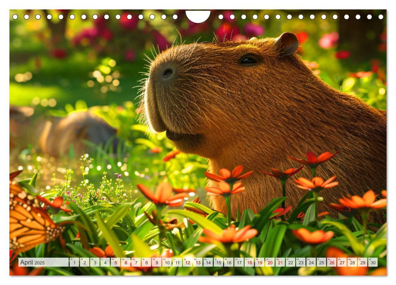 Bild: 9783457163931 | Capybaras im Alltag - Ein Jahr voller Abenteuer (Wandkalender 2025...