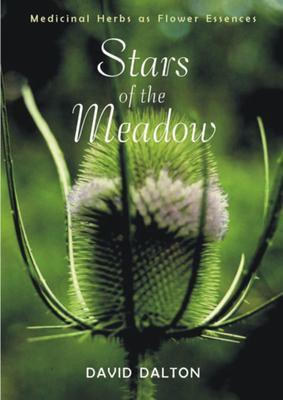 Cover: 9781584200352 | Stars of the Meadow | Medicinal Herbs as Flower Essences | Dalton