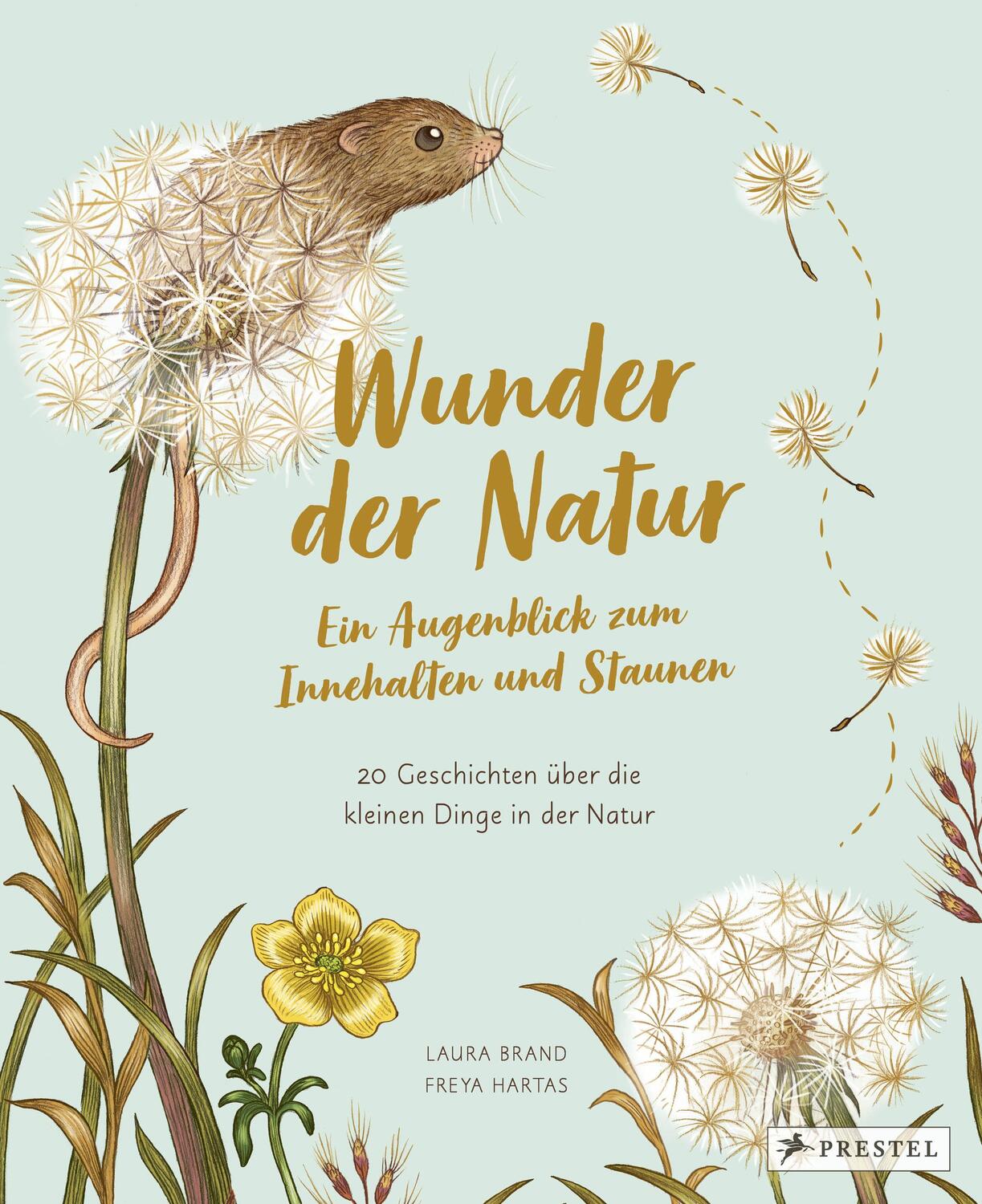 Cover: 9783791375434 | Wunder der Natur. Ein Augenblick zum Innehalten und Staunen | Buch