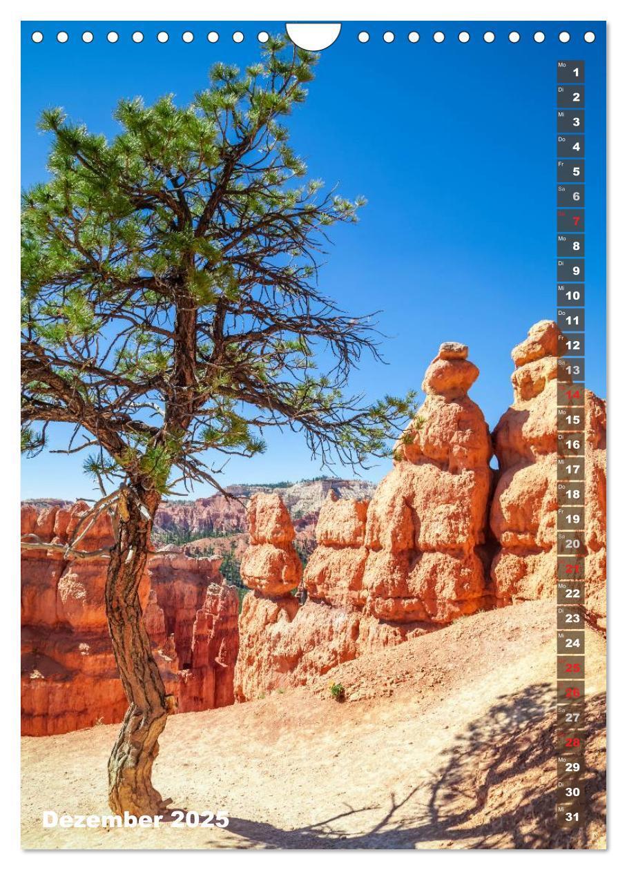 Bild: 9783435973507 | BRYCE CANYON Natur Pur (Wandkalender 2025 DIN A4 hoch), CALVENDO...