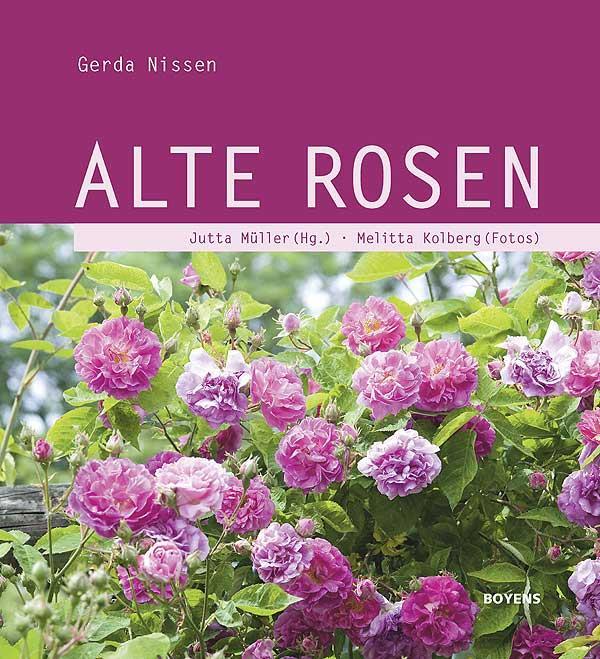 Cover: 9783804213357 | Alte Rosen | Gerda Nissen | Buch | Deutsch | 2011 | Boyens Buchverlag