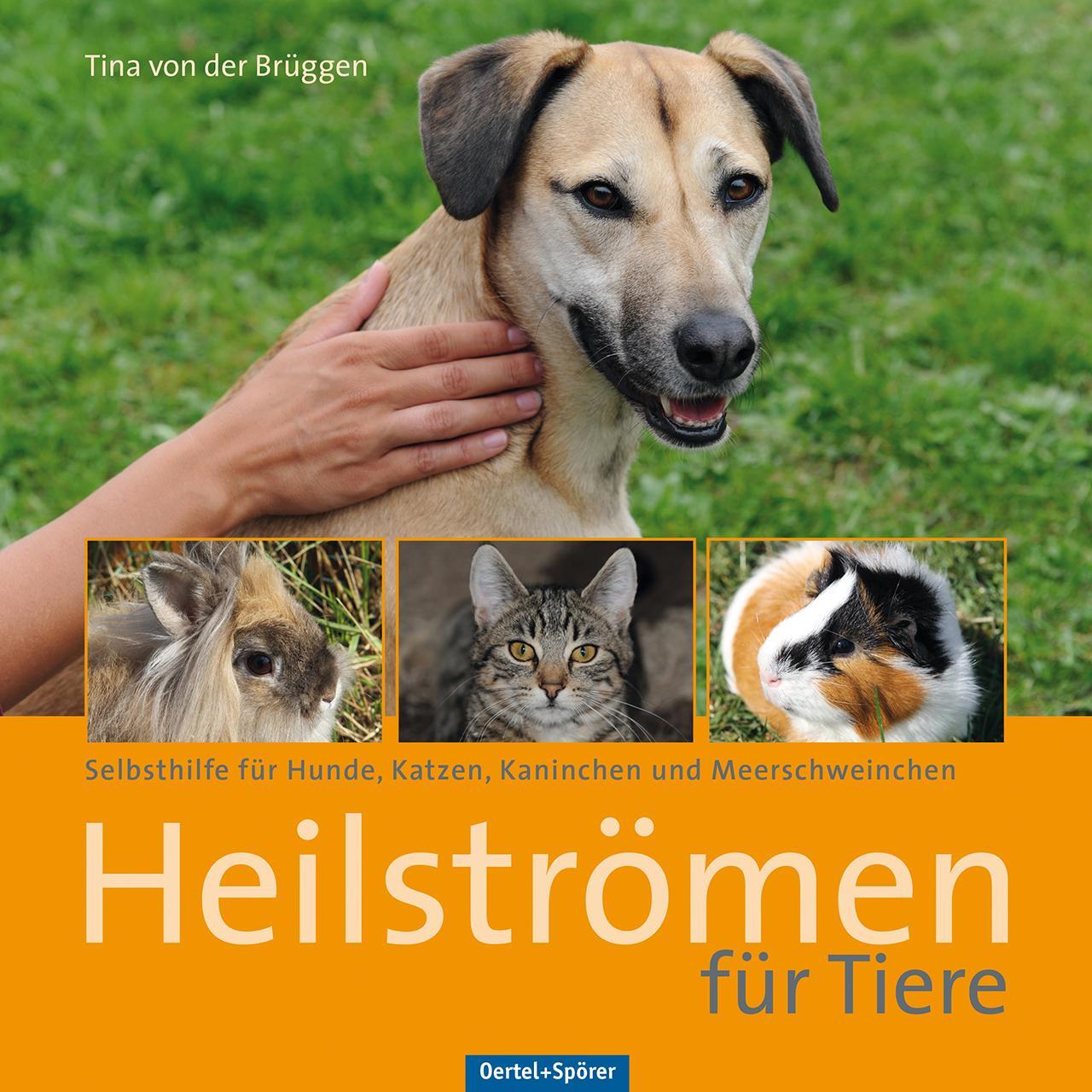 Cover: 9783886279111 | Heilströmen für Tiere | Tina von der Brüggen | Buch | Deutsch | 2014