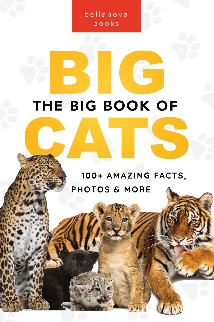 Cover: 9786192640637 | The Big Book of Big Cats | Jenny Kellett | Taschenbuch | Paperback