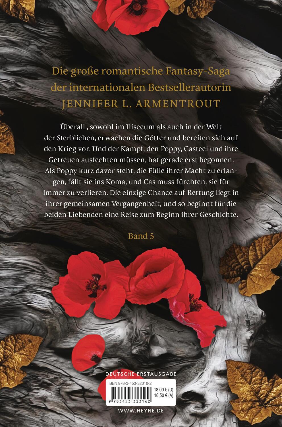 Bild: 9783453323162 | Soul and Ash - Liebe kennt keine Grenzen | Roman | Armentrout | Buch