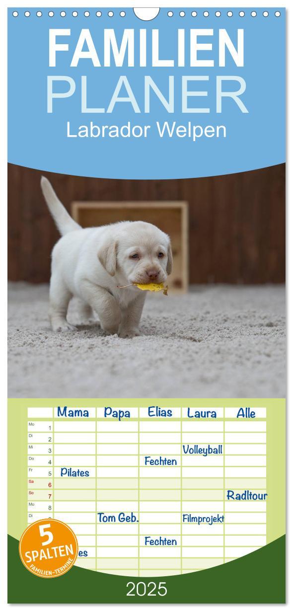 Cover: 9783457110102 | Familienplaner 2025 - Labrador Welpen mit 5 Spalten (Wandkalender,...