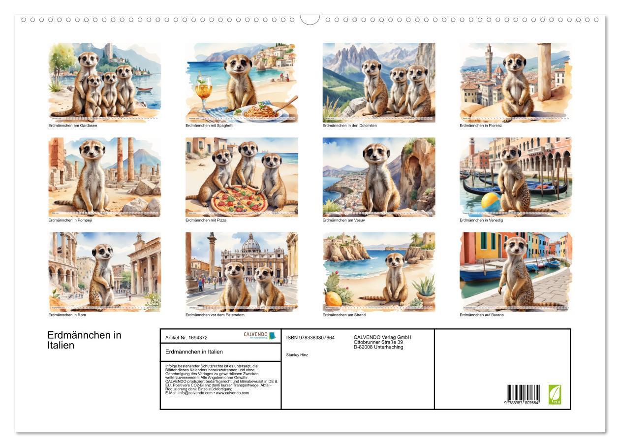 Bild: 9783383807664 | Erdmännchen in Italien (Wandkalender 2025 DIN A2 quer), CALVENDO...