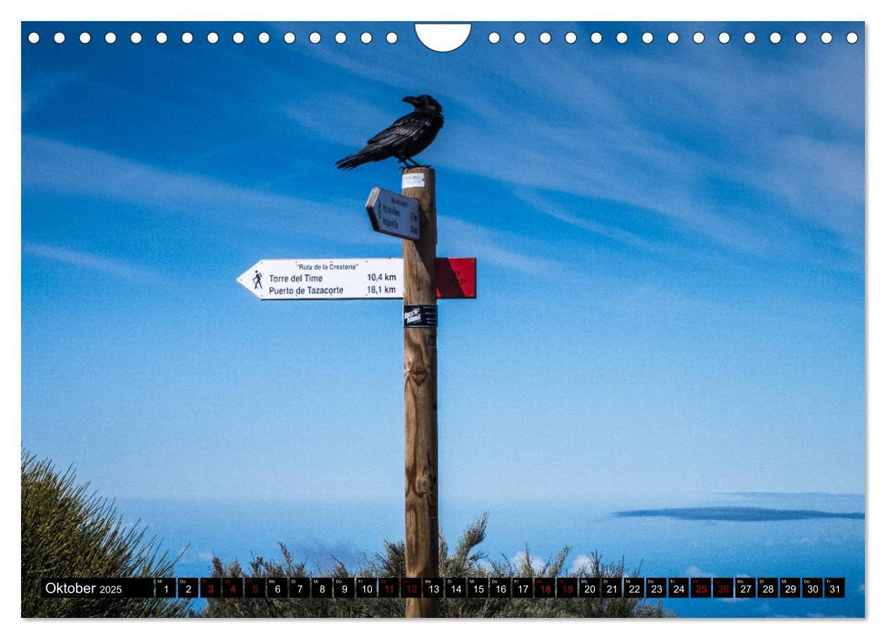 Bild: 9783435328413 | Natur pur erleben auf La Palma (Wandkalender 2025 DIN A4 quer),...