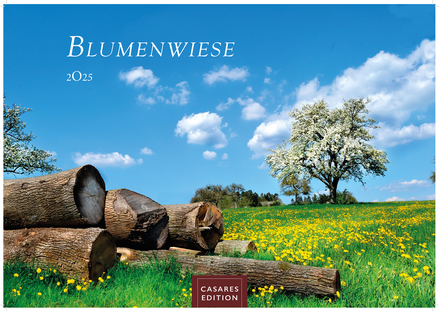 Cover: 9781835242193 | Blumenwiese 2025 S 24x35cm | Kalender | 14 S. | Deutsch | 2025