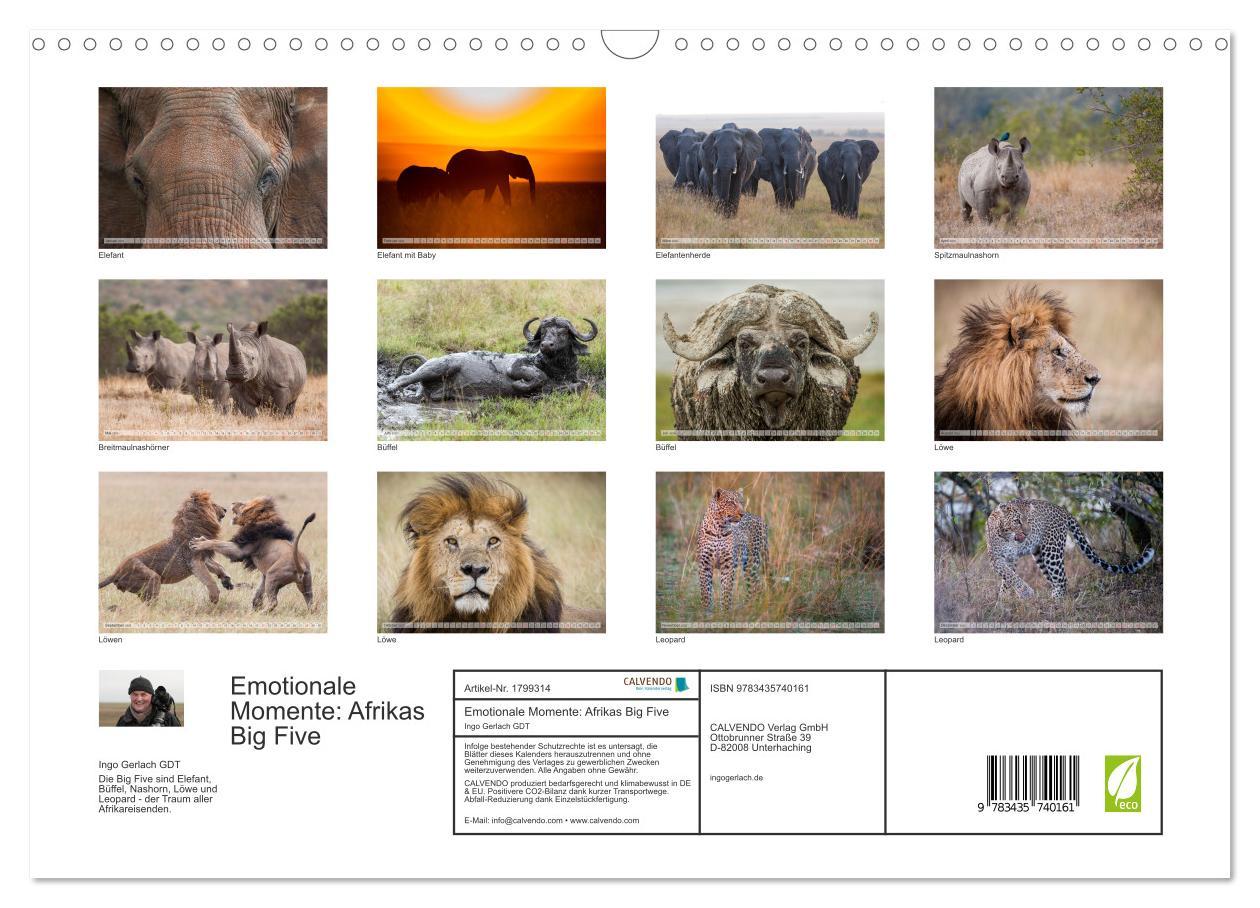 Bild: 9783435740161 | Emotionale Momente: Afrikas Big Five (Wandkalender 2025 DIN A3...