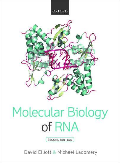 Cover: 9780199671397 | Molecular Biology of RNA | David Elliott (u. a.) | Taschenbuch | 2015