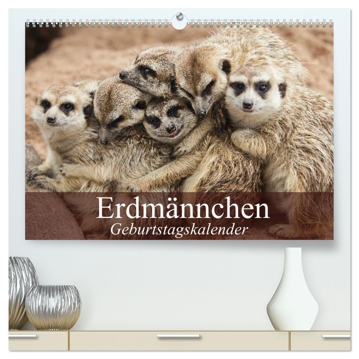Cover: 9783383457562 | Erdmännchen (hochwertiger Premium Wandkalender 2024 DIN A2 quer),...