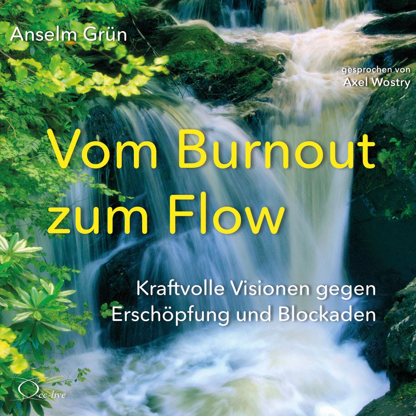 Cover: 9783956164637 | Vom Burnout zum Flow | Anselm Grün | Audio-CD | Lebenshilfe | Deutsch