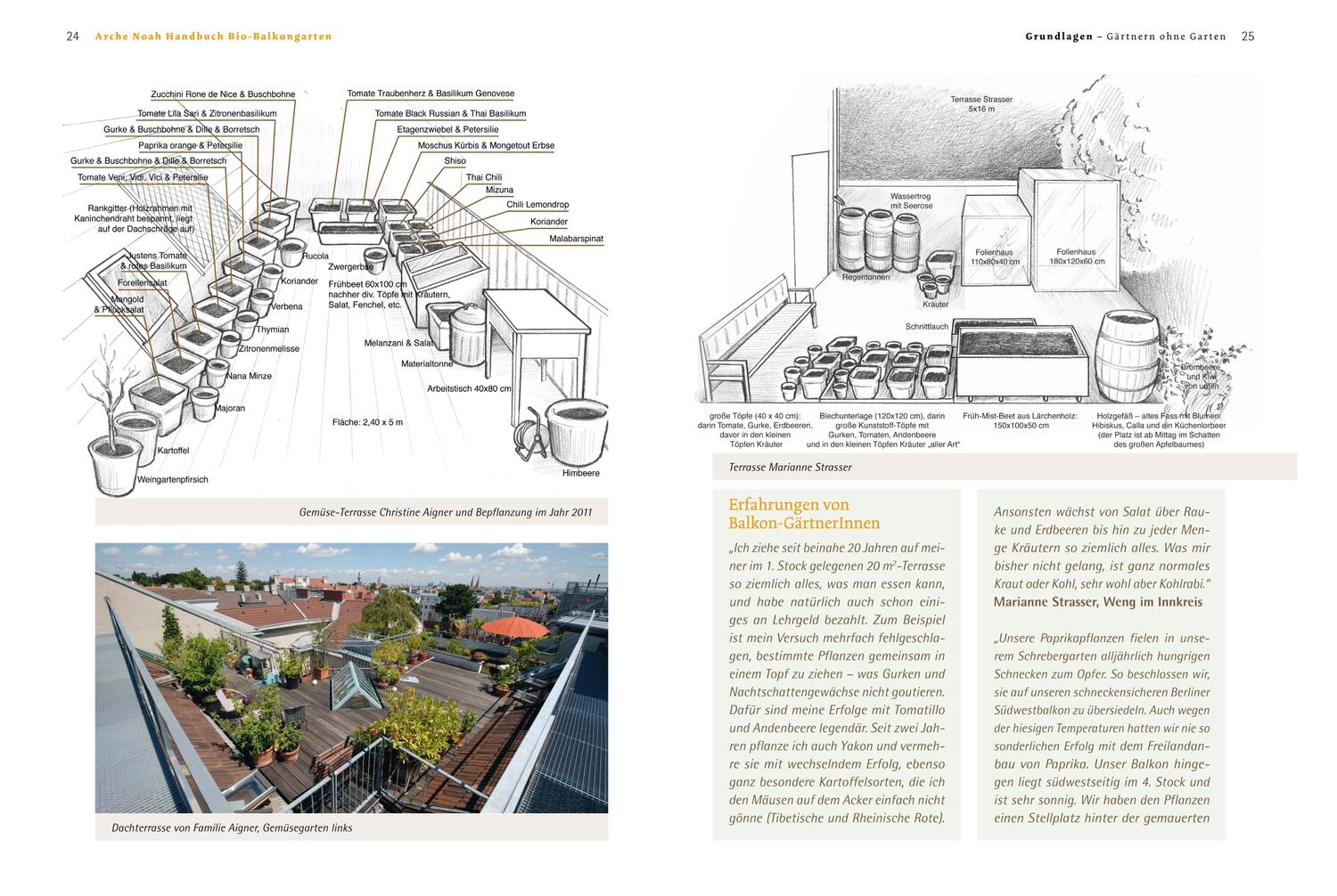 Bild: 9783706624947 | Handbuch Bio-Balkongarten | Andrea Heistinger | Buch | Deutsch | 2012